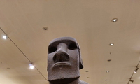 1744537790_thumb