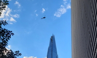 1744561479_thumb