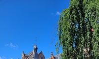 1752254974_thumb