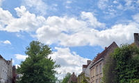 1752258835_thumb