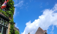 1752259799_thumb
