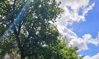 1752259832_thumb