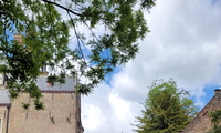 1752260041_thumb