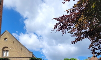 1752260231_thumb